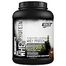 SSN Whey Protein (5lbs, Chocolate)