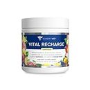 Gundry MD Vital Recharge Supplement Powder - Advanced Energy Formula with Electrolytes - Supports ATP Supply - 30 Servings