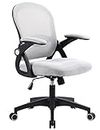 Home Office Chair Ergonomic Desk Chair Adjustable Height Mesh Computer Chair Swivel Task Chair with Flip-up Armrests (Grey/Black)