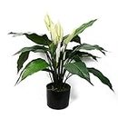 Leaf Large Artificial Stargazer Style Lily Plant
