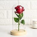 Red Simulation Rose Flower Preserved Plastic Beauty Red Roses Flowers in Glass Dome, Birthday Gifts Women, Artificial Rose with Led Light, Unique Gift, Valentine's Day Gifts