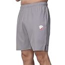 Mens NS Lycra Material Casual and Athletic Shorts for Men, Summer Running Gym Sports Shorts (Large, Grey)
