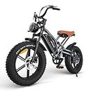 JANSNO Electric Bike 20" x 4.0 Electric Bike for Adults with 750W Brushless Motor, 48V 14Ah Removable Battery, 7-Speed Transmission UL Certified