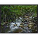 Global Gallery Little Stony Creek Flowing Through Jefferson National Forest, Virginia by Tim Fitzharris Framed Photographic Print on Canvas | Wayfair