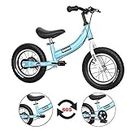 Qiani Balance Bike 2 in 1 for Toddlers,Kids 2-7 Years Old,Balance to Pedals Bike,12 14 16 inch Kids Bike,with Removable Pedals,Training Wheels,Adjustable Seat,Brake,red Blue Pink (Blue, 16 inch)