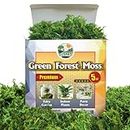 DUSPRO Green Moss for Crafts, Artificial Moss Potted Plants, Decorative Moss for Table Centerpieces Wedding Christmas Fairy Party Decor, Faux Moss for Indoor Planters, DIY Project 5 Oz