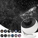 Hbaushun Planetarium Projector,Galaxy Projector Star Projector Galaxy Light with Replaceable 13 Galaxy Discs,360° Rotation Night Sky Projector for Kids Adults Ceiling Home Bedroom Living Room Decor