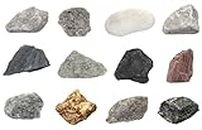 12 Piece Introduction to Metamorphic Rocks Kit - Includes 1" Specimens - Great for Geology Classrooms & Basic Field Testing Labs - Tech Cut Rocks by Eisco Labs
