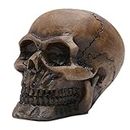 HEALLILY Resin Human Skull Model Skull Head Figurine Prop Halloween Decoration Party Supplies