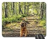 Gaming Mouse Pads,Mouse mat,Birch Avenue Birch Avenue Forest Nature Away Path 1