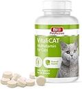 Emily Pets VitaliCAT Multivitamin for Cats, Skin and Coat Supplement, Cat Prenatal Health Supplies, Vitamin, Biotin Amino Acids for Cats, 75 Chewable Tablets