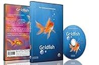 Baby and Kids DVD - Goldfish Aquarium shot in HD with long Scenes