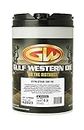 Gulf Western Oil SynStar 0W30 Lubricant 20 Liter