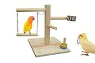 Poonch Wooden Bird Playing Stand on Single Pillar with Swing Feeder Bowl Multiple perches and Ring Game for Budgies cockateil Lovebird and Other Parakeet