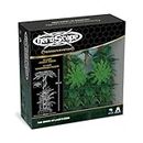 Renegade Game Studios Heroscape The Grove at Laur's Edge Terrain Pack | Build New Jungle environments Over which to Battle for Valhalla Contains : 3 Laur Jungle Trees 6 Laur Jungle Underbrush