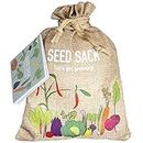 Scott&Co. Vegetable Seed Variety Pack - 30 Different Varieties of Veg, Herb and Tomato Seeds to Grow Your Own. Easy to Grow Indoor, Outdoor. Gardening Gifts for Women and Men