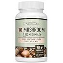 10 Mushroom Blend Supplement | Lions Mane, Turkey Tail, Cordyceps, Reishi, Shiitake, Maitake, Chaga Extract Mushroom Support Complex | Antioxidants & Immune Support | Vegetarian, Gluten-Free | 90 Ct.