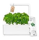 Click & Grow Indoor Herb Garden Kit with Grow Light | Smart Garden for Home Kitchen Windowsill | Easier than Hydroponics Growing System | Vegetable Gardening Starter (3 Basil Pods included), Grey