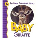 Baby Giraffe San Diego Zoo Animal Library