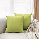 All Smiles Outdoor Green Throw Pillow Covers for Patio Outside Furniture Decorative Grass Sage Apple Lime Solid Cushion 24x24 Set of 2 for Sofa Bed Couch Sunbrella