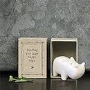 East of India Porcelain MINI Matchbox Hippo Sentimental Hugs Ornament Gift | Sending you huge hippo hugs