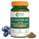 Pure Nutrition Bio Coenzyme Q10 175mg High Absorption CoQ10 Supplement with Bioperine & Arjuna Extract for Heart & Brain Health | Powerful Antioxidant, Boosts Cellular Energy, Immunity, Male Fertility - 60 Veg Capsules