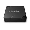 Great Bee Arabic tv box for IPTV,set top box,Free for lifetime
