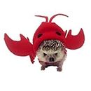 Hedgehog Clothes Lobster Costume Small Animal Apparel Polar Fleece Material Handmade Hedgehog Hoodie Costume Accessories Outfit for Cosplay Halloween Party Pet Supplies (M (400-500g))