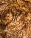 Faux Animal Fur Long Pile 1200gram Heavy 65" Wide Fabric Full, Plush, Warm Soft Coat, Fashion Fursuit Costume - Sold by Continuous Yard (Red Fox)