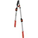 Corona Tools | Branch Cutter DualLINK Extendable Bypass Loppers | Tree Trimmer Cuts Branches up to 1 ¾-inches in Diameter | Handles Extend up to 37 ½inches | SL 4364, Silver