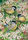 Toland Home Garden Sweet Chickadees 28 x 40-Inch Decorative USA-Produced House Flag