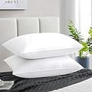 JY Reliance Microfiber Feeling Satin Stripe Fabric Bed Pillow for Sleeping Set of 2 (16''X26'')