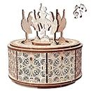 Wood Trick Dancing Ballerina Music Box Kit Swan Lake, DIY Wooden Musical Box Ballerina - 3D Wooden Puzzle, Assembly Toy, Brain Teaser for Adults and Kids