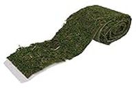 Rayher Moss Ribbon, Dark Green, 10cm