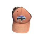 Patagonia Fitz Roy Bison Embroidered Trucker Cap Adults Adjustable