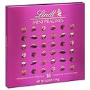 Lindt Mini Pralines, Assorted Chocolate Pralines with Premium Filling, Great for gift giving, 6.2 oz Box