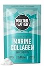 Hunter & Gather Marine Collagen Powder 300g | Pure Unflavoured Premium Hydrolysed Wild Caught Marine Collagen Peptides Powder for Hair Skin Nails Muscles | Collagen Supplements for Women and Men