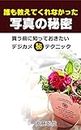 daremooshietekurenakattasyasinnohimitsu: kaumaenishitteokitaidejikamemaruhitekunikku (Japanese Edition)