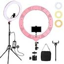 Embellir 19" LED Ring Light with Stand, Ringlight Phone Camera Video Selfie Light Stick Tripod Key Lighting for Make Up Photography, 360° Rotation Carry Bag Pink