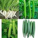 Combo Pack- 4 Different Vegetable Plant Seeds, Sold by Kapoor Trader