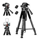 JOILCAN Camera Tripod for Canon Nikon Sony, 65" Aluminum Alloy Tripod Stand with Detachable Head & Phone Holder & Carry Bag, Lightweight DSLR Tripod for Smartphone/Vlog/Streaming, Max Load 5.5kg