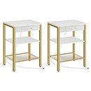 HOOBRO Set of 2 End Table with Charging Station and USB Ports, 3-Tier Nightstand with Adjustable Shelves, Side Table for Small Space, Living Room, Bedroom Modern Style, Gold and White DW112BZP201G1