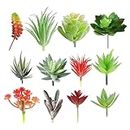 TIED RIBBONS Plastic Pack Of 12 Artificial Succulent Plants Flowers (Multi, Pot Not Included) For Home Decor Office Table Vase Garden Indoor Outdoor Floral Arrangement Diy Decorations Items