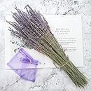 Dried Lanvender Bundles, Total 250 Stems 100% Natural Lavender Bunch for DIY Home Party Wedding Decor