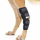 Tutore Ortopedico Dog Hock Brace per Il Garretto Posteriore Canino (XL)