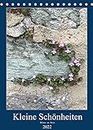 Kleine Schönheiten an Stein (Tischkalender 2022 DIN A5 hoch): Kleine Blüten auf dem Weg zur Achtsamkeit. (Monatskalender, 14 Seiten )