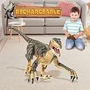 deAO Fernbedienung Realistisches T-Rex Dinosaurier-Roboter-Spielzeug, das mit Lichtern geht und Brüllt