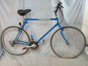 1995 Schwinn Crisscross City Hybrid Fahrrad 22.5 " XL Chromoly Stahl USA