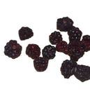 Natural Edible Whole Freeze Dried Blackberry Whole Fruits for Food 50g