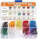 JOREST 60Pcs Car Fuse Kit -Replacement Fuses Assortment Kit for Car/RV/Truck/Motorcycle(2Amp 3A 5A 7.5A 10A 15A 20A 25A 30A 35A 40A) - Standard Blade Fuses Automotive + Auto Fuse Puller